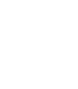 Dirty Birdie Logo